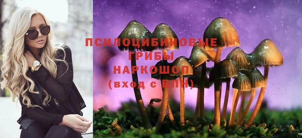 ECSTASY Арсеньев