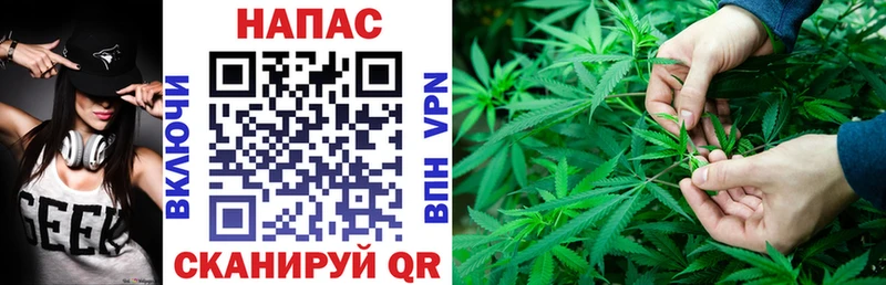 Купить закладки  Болгар  Конопля SATIVA & INDICA 